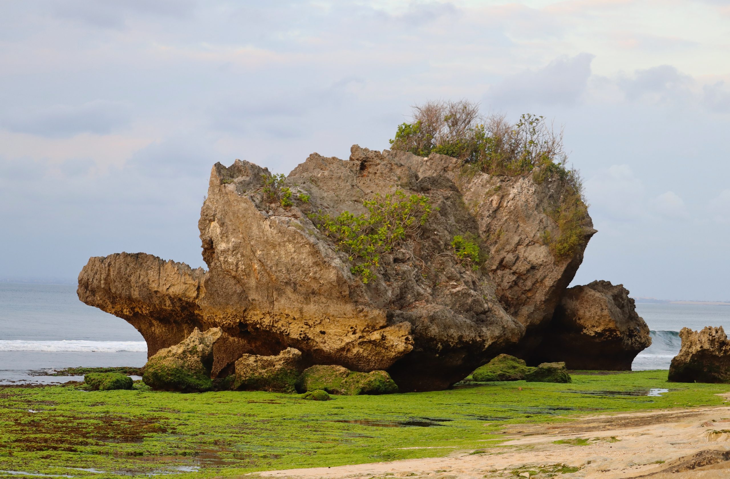 Markante Kalkstein-Felsformation am moosbewachsenen Strand von Thomas Beach auf der Bukit-Halbinsel auf Bali.